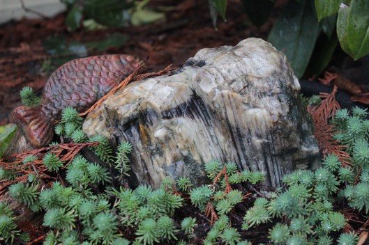 petrified wood, rock garden