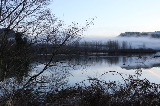 Alder lake