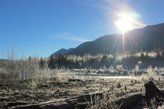 sunshine on the river