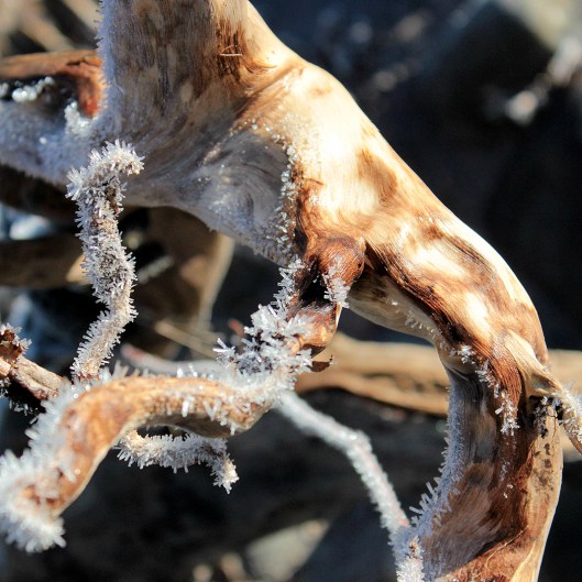 ice crystals on wood