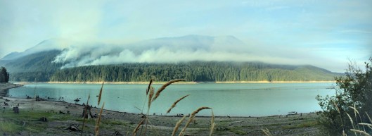 alder lake fire